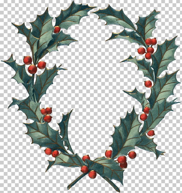 Holly Aquifoliales Christmas Ornament Twig Wreath PNG, Clipart, Aquifoliaceae, Aquifoliales, Branch, Christmas, Christmas Decoration Free PNG Download
