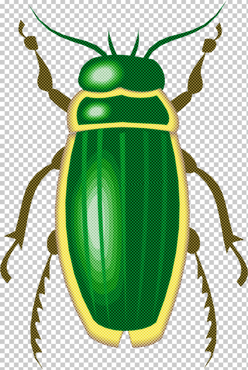 Insect Beetle Cetoniidae Ground Beetle Scarabs PNG, Clipart, Beetle, Blister Beetles, Cetoniidae, Ground Beetle, Insect Free PNG Download