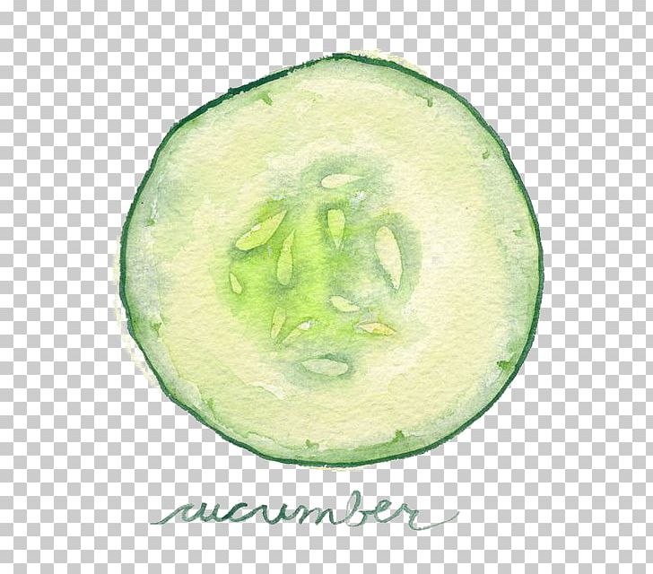 Watercolor Painting Vegetable Slicing Cucumber Illustration PNG, Clipart, Architectural Drawing, Cartoon, Cucumber, Cucumber Gourd And Melon Family, Cucumis Free PNG Download