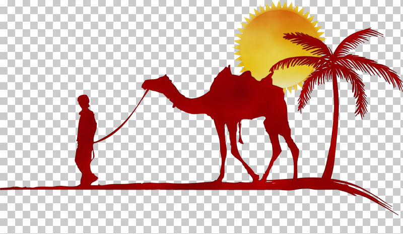 Indian People PNG, Clipart, Biology, Camels, Dromedary, India, Indian People Free PNG Download