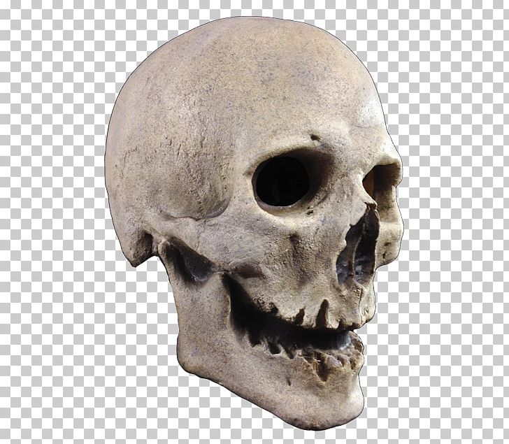 Mask Human Skeleton Skull Costume PNG, Clipart, Adult, Antique, Art, Bone, Child Free PNG Download