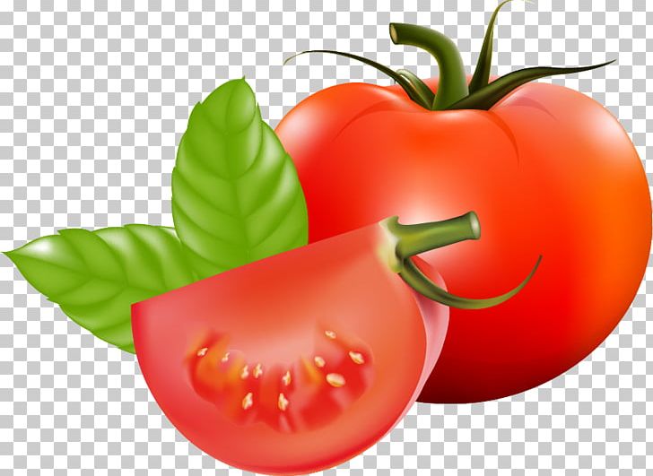 Plum Tomato Cherry Tomato Bush Tomato Vegetable Fruit PNG, Clipart, Autumn Leaf, Bell Peppers And Chili Peppers, Bush Tomato, Cherry Tomato, Food Free PNG Download