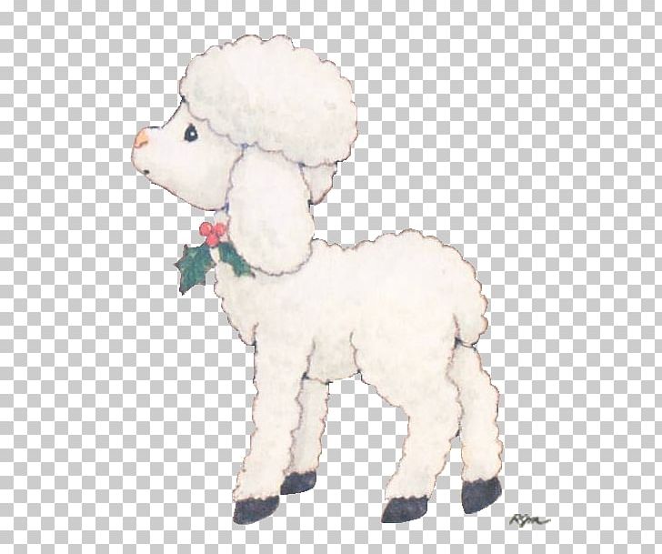 Sheep Goat Standard Poodle Drawing PNG, Clipart, Animaatio, Animals, Cow Goat Family, Dog Breed, Dog Breed Group Free PNG Download