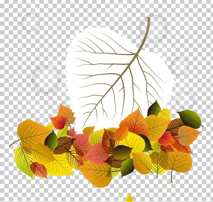 Trunk Leaf Tree PNG, Clipart, Autumn, Autumn Leaves, Book, Branch, Deciduous Free PNG Download