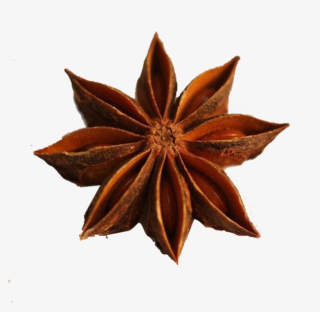 A Star Anise PNG, Clipart, A Clipart, Anise, Anise Clipart, Anise Clipart, Fennel Free PNG Download