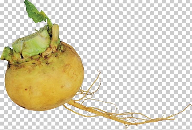 Turnip Garden Radish Root Vegetables PNG, Clipart, Brassica Oleracea, Brassica Rapa, Celery, Crop Yield, Food Free PNG Download