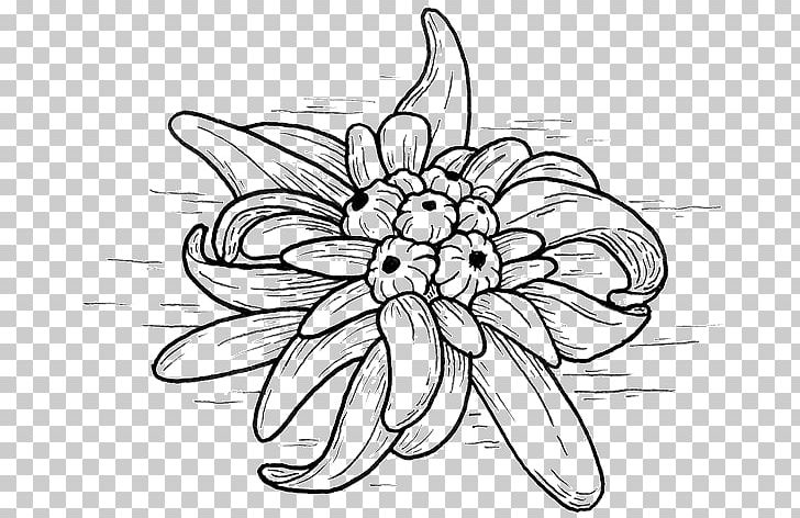 Floral Design Drawing Monochrome PNG, Clipart, Art, Artwork, Black And White, Cut Flowers, Drawing Free PNG Download