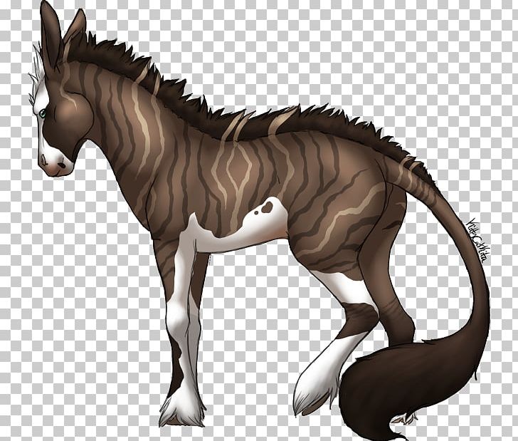 Mane Mustang Foal Stallion Colt PNG, Clipart, Cataract, Colt, Donkey, Fictional Character, Foal Free PNG Download