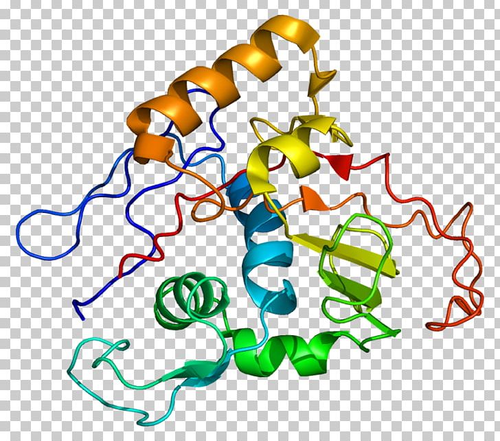 Na+/K+-ATPase ATPase PNG, Clipart, Adenosine Triphosphate, Area, Artwork, Atpase, Gene Free PNG Download