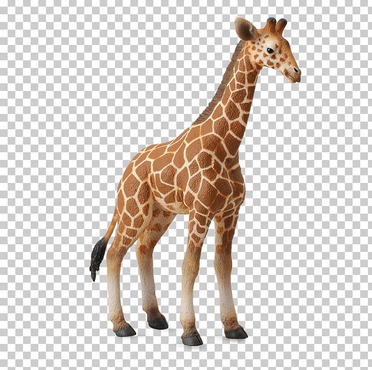 Calf Reticulated Giraffe Collecta Giraffe Animal Figurine PNG, Clipart, Animal, Animal Figure, Animal Figurine, Calf, Figurine Free PNG Download