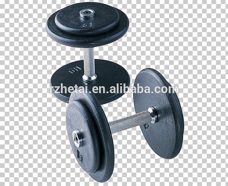 Dumbbell Barbell Exercise Fitness Centre Weight PNG, Clipart, Barbell, Dumbbell, Exercise, Exercise Balls, Exercise Equipment Free PNG Download