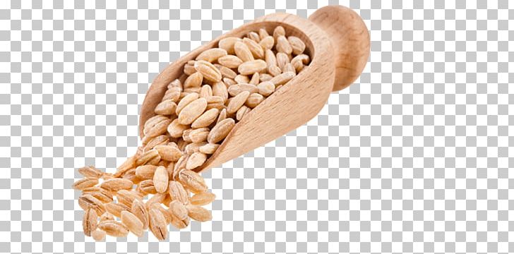 Food Cereal Whole Grain Ancient Grains PNG, Clipart, Ancient, Ancient Grains, Barley, Bean, Cereal Free PNG Download