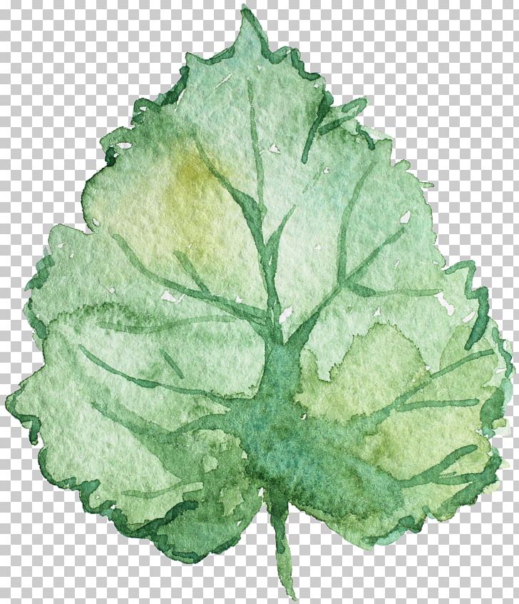 Leaf Watercolor Painting PNG, Clipart, Autumn Leaves, Blue, Blue Background, Blue Flower, Color Free PNG Download