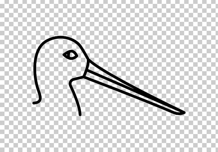 Beak Line PNG, Clipart, Area, Art, Beak, Bird, Black And White Free PNG Download