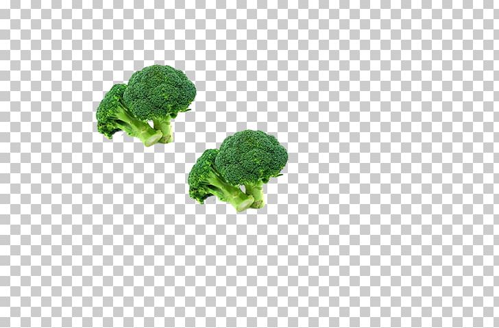 Broccoli Vegetable Icon PNG, Clipart, Broccoli, Broccoli 0 0 3, Broccoli Art, Broccoli Dog, Broccoli Sketch Free PNG Download