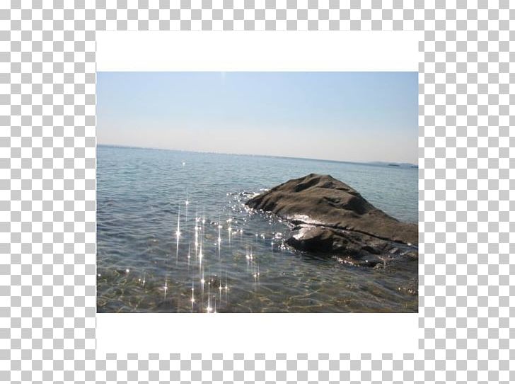 Shore Sea Inlet Wood Fauna PNG, Clipart, Fauna, Inlet, M083vt, Nature, Sea Free PNG Download