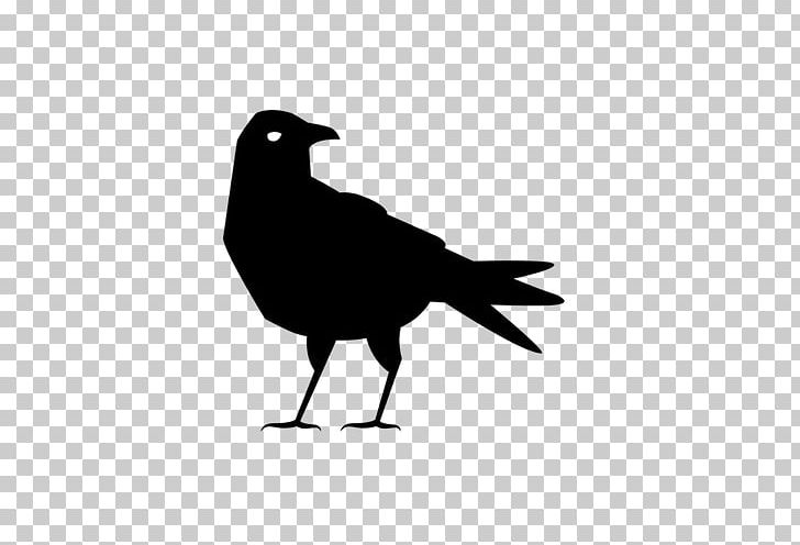 American Crow Computer Icons PNG, Clipart, American Crow, Animal, Animals, Beak, Bird Free PNG Download