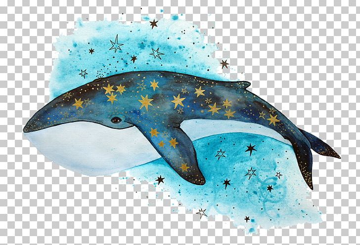 Cetacea Drawing Killer Whale Humpback Whale Whale Watching PNG, Clipart, Beluga Whale, Blue Whale, Cetacea, Dolphin, Drawing Free PNG Download