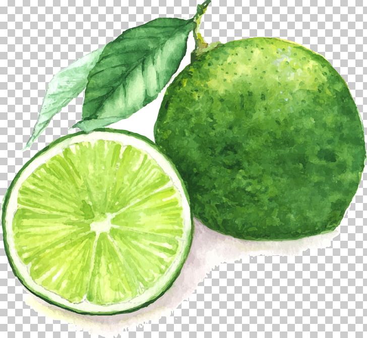 Juice Lemon Watercolor Painting Lime PNG, Clipart, Bitter Orange, Citric Acid, Citron, Citrus, Drawing Free PNG Download
