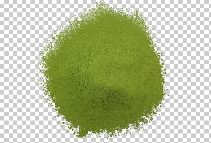 Green Tea New Zealand Matcha Genmaicha PNG, Clipart, Camellia Sinensis, Earl Grey Tea, Food Drinks, Genmaicha, Grass Free PNG Download