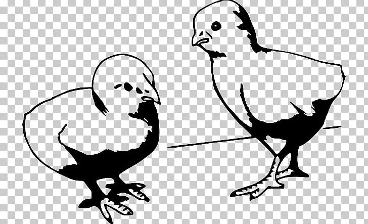 Chicken Open Portable Network Graphics Drawing PNG, Clipart, Artwork, Beak, Bird, Black And White, Branch Free PNG Download