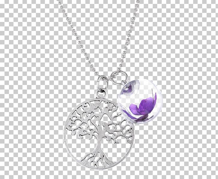 Locket Necklace Earring Charms & Pendants Jewellery PNG, Clipart, Amethyst, Ball Chain, Body Jewelry, Chain, Charm Bracelet Free PNG Download