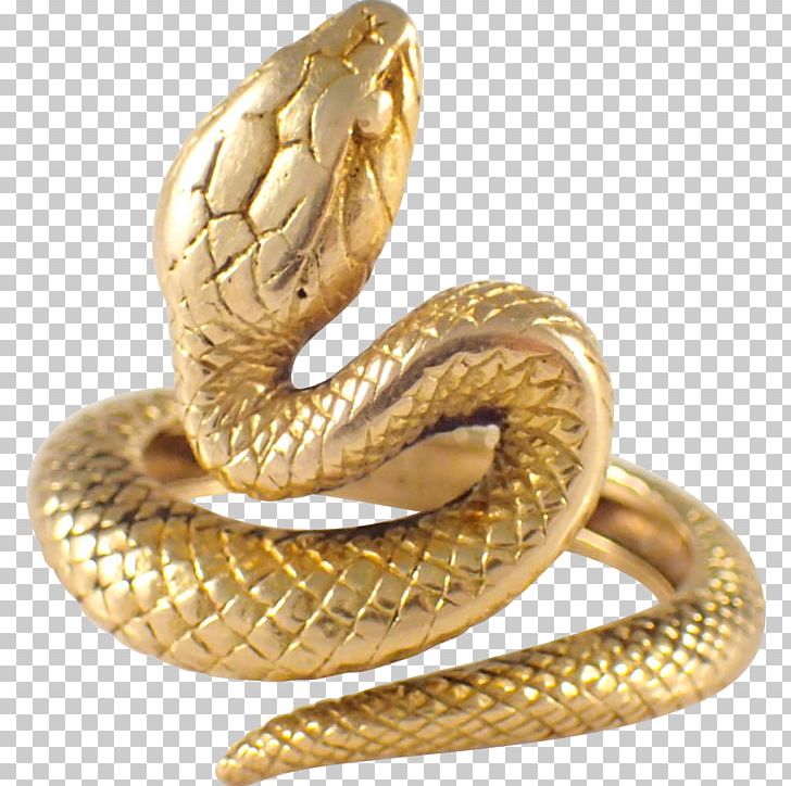 Rattlesnake Gold Reptile Vipers PNG, Clipart, Anaconda, Animals, Body Jewelry, Colored Gold, Colubridae Free PNG Download