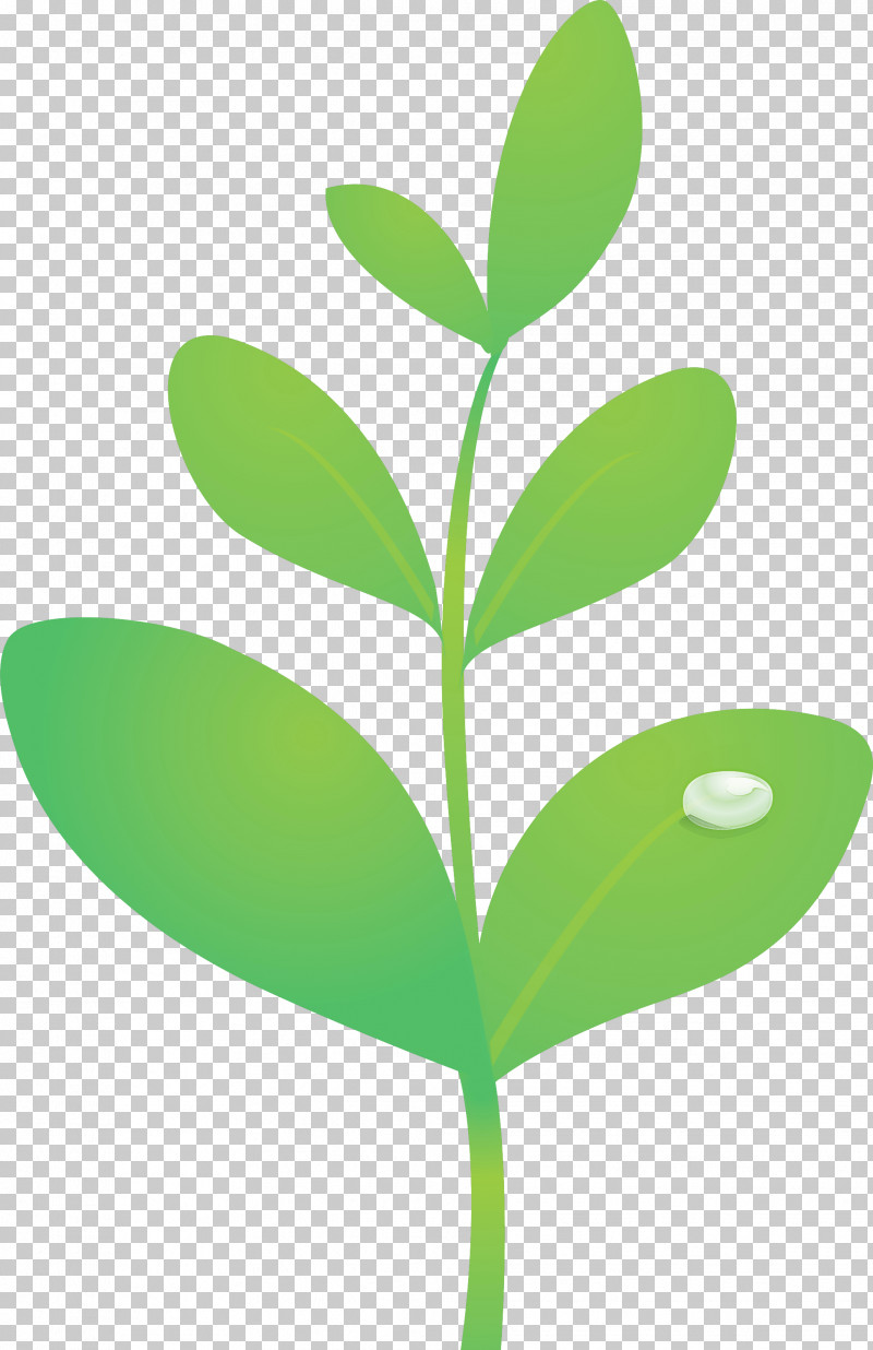 Sprout Bud Seed PNG, Clipart, Bud, Flower, Flush, Green, Hypericum Free PNG Download