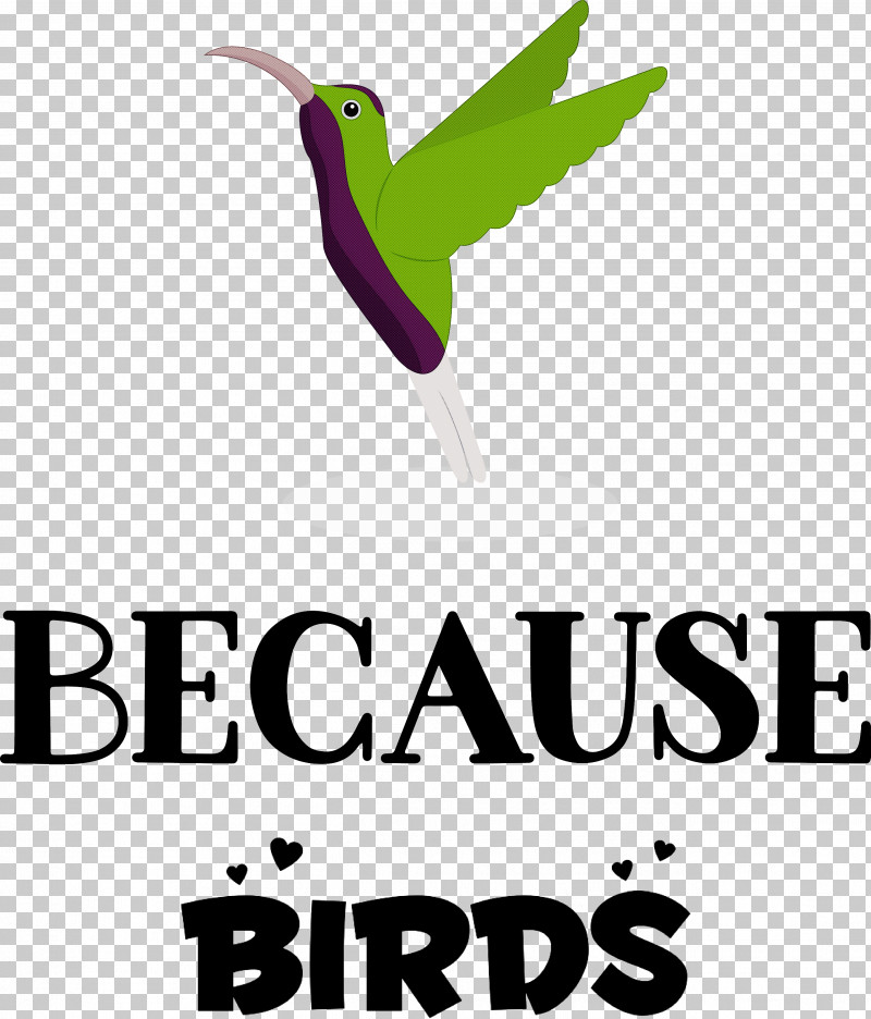 Because Birds Bird Animal PNG, Clipart, Animal, Beak, Bird, Hummingbirds, Logo Free PNG Download