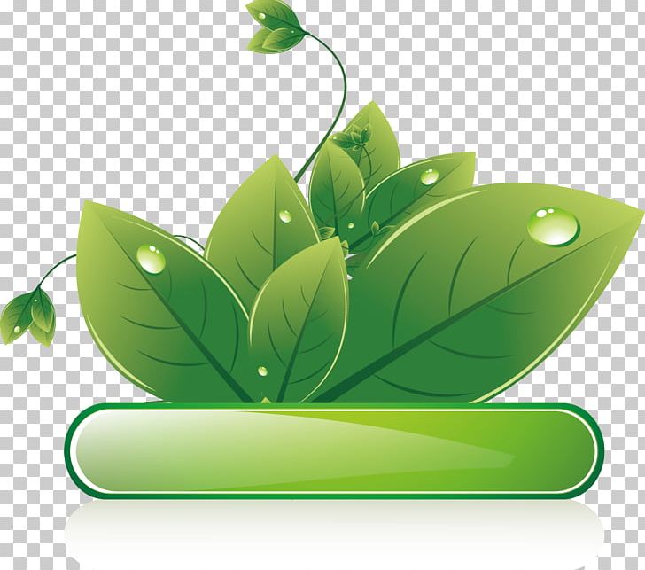 Ecodesign Euclidean PNG, Clipart, Art, Background Green, Business Card, Coreldraw, Fall Leaves Free PNG Download