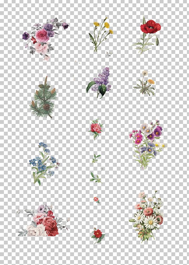 Floral Design Cut Flowers Petal PNG, Clipart, Brochure, Computer Font, Cut Flowers, Davetiye, Flora Free PNG Download