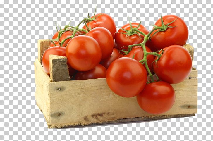 Nutrient Lycopene Tomato Paste Food PNG, Clipart, Canned Tomato, Canning, Cherry Tomato, Diet Food, Fruit Free PNG Download