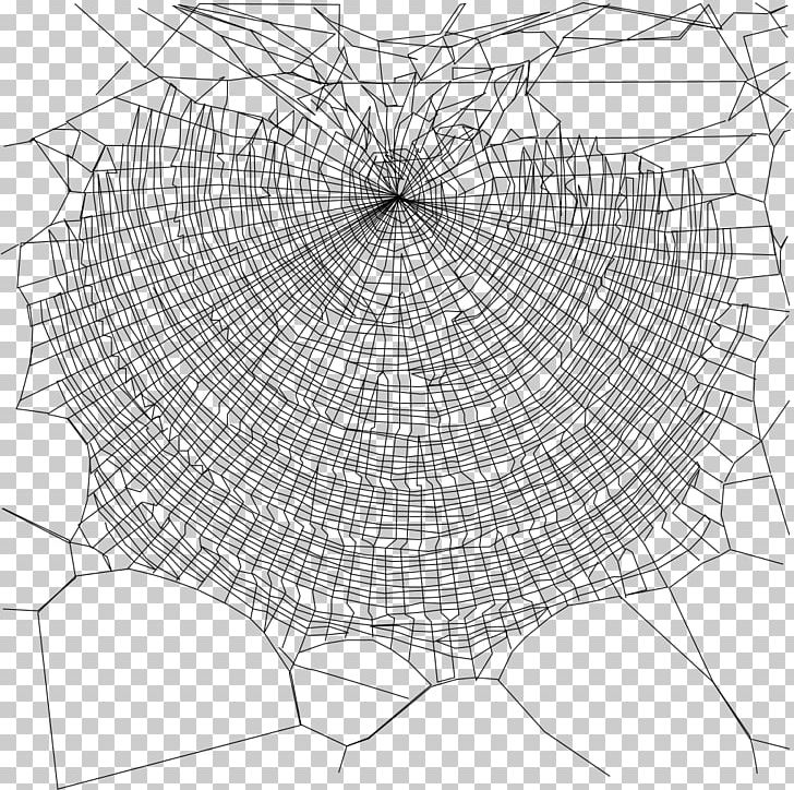 Spider Web Nephila Clavipes Spider Silk PNG, Clipart, Angle, Area, Artwork, Black And White, Circle Free PNG Download