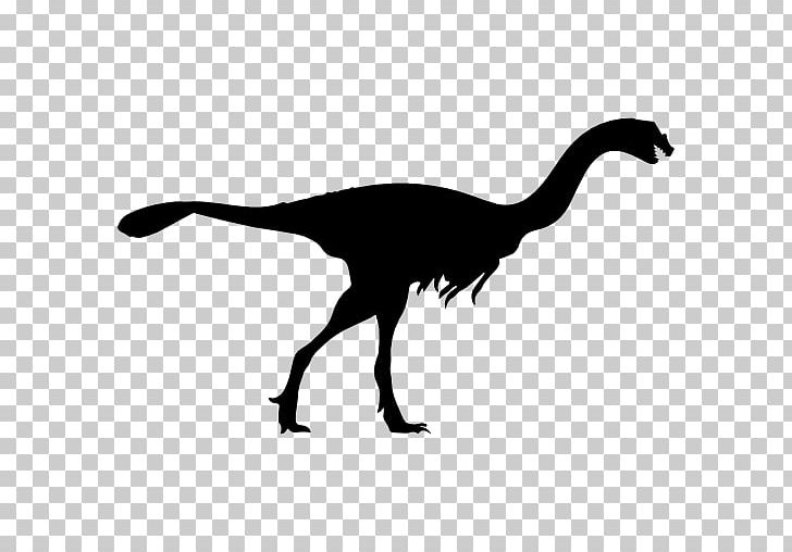 Velociraptor Gigantoraptor Citipati Tyrannosaurus Pterodactyls PNG, Clipart, Beak, Bird, Black And White, Citipati, Computer Icons Free PNG Download
