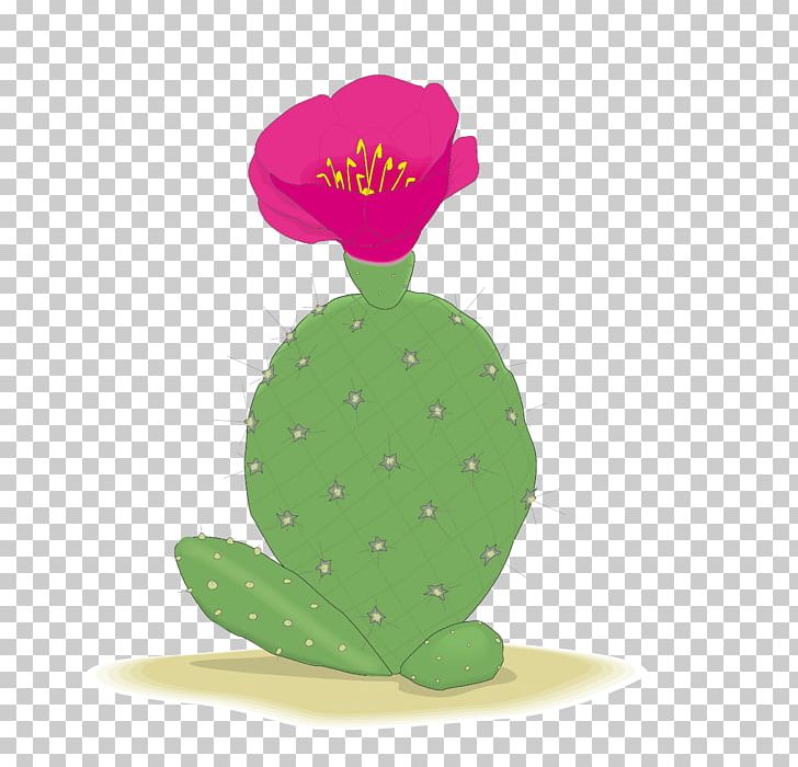 Barbary Fig Cactaceae Flower PNG, Clipart, Blossom, Blossoms, Blossom Vector, Cartoon, Cherry Blossom Free PNG Download