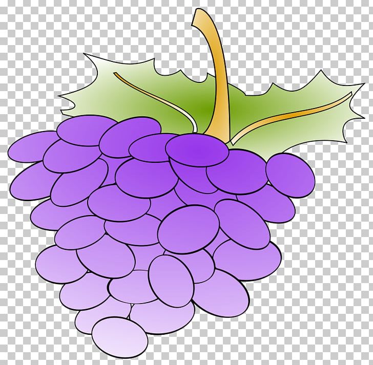 Common Grape Vine Grape Leaves PNG, Clipart, Cartoon, Common Grape Vine, Computer Icons, Flower, Flowering Plant Free PNG Download