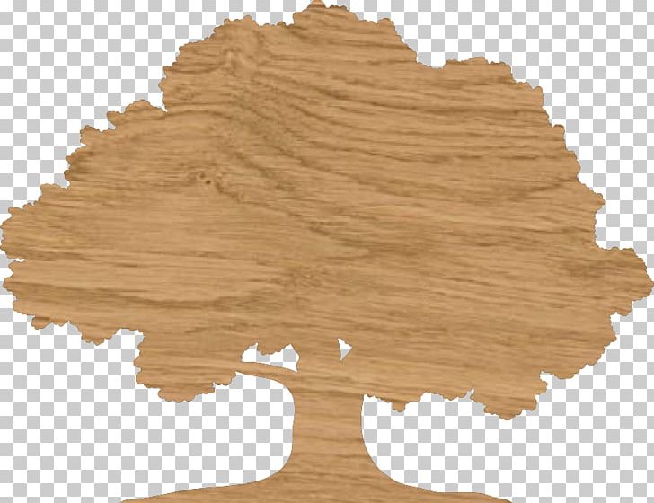 Drawing Tree English Oak PNG, Clipart, Coloring Book, Depositphotos, Drawing, English Oak, Oak Free PNG Download