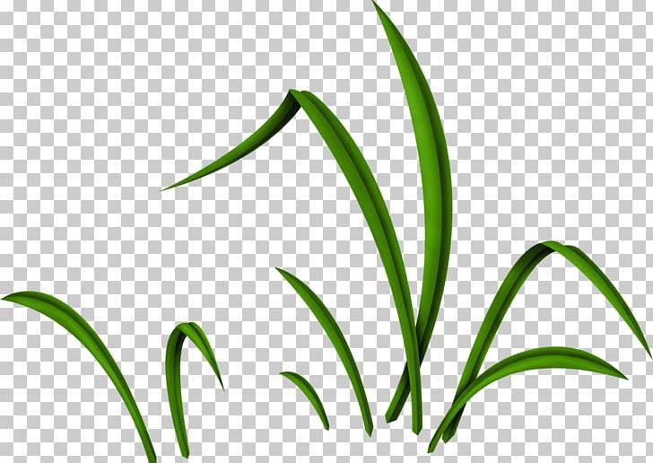 Easter Bunny Plant Stem Flower PNG, Clipart, Birthday, Commodity, Departments Of France, Easter, Easter Bunny Free PNG Download