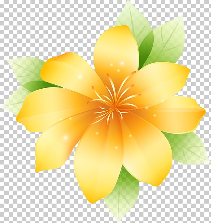 Flower Drawing Graphics PNG, Clipart, Clip Art, Clipart, Computer Wallpaper, Drawing, Flora Free PNG Download