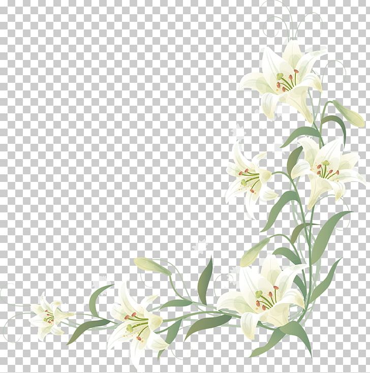 Flower PNG, Clipart, Branch, Cut Flowers, Download, Flo, Flora Free PNG Download