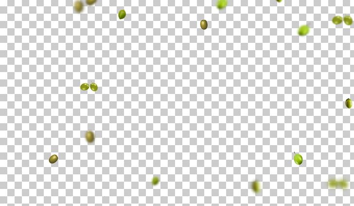 Leaf Plant Stem Computer Desktop PNG, Clipart, Branch, Circle, Computer, Computer Wallpaper, Desktop Wallpaper Free PNG Download