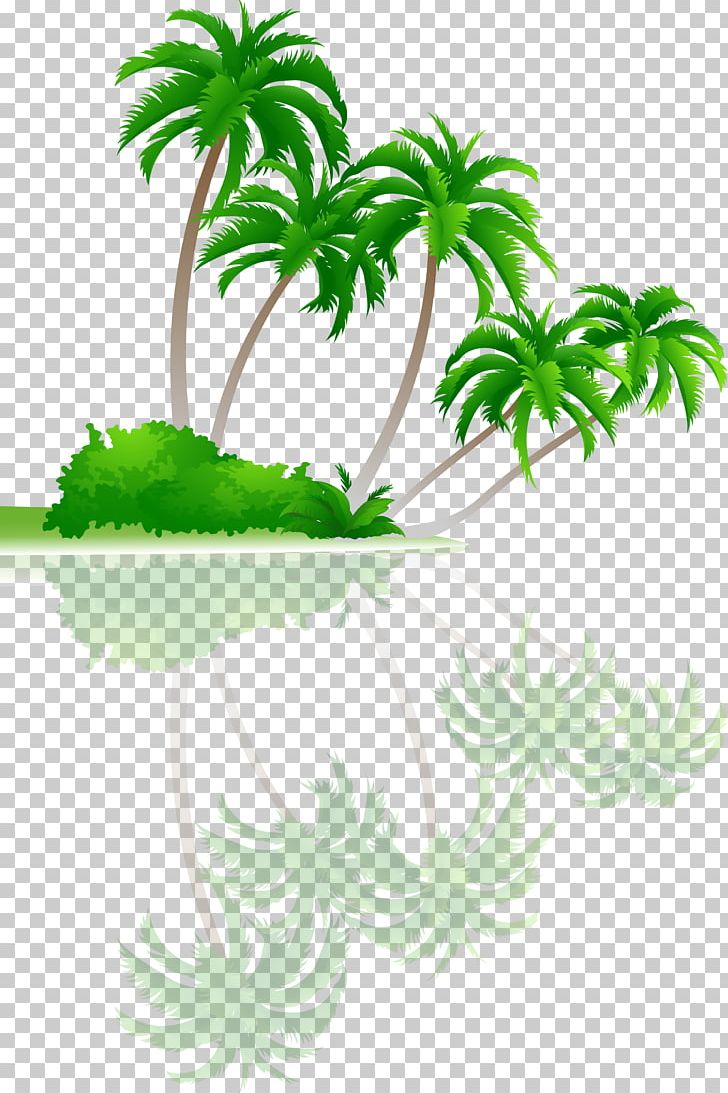 Tree Arecaceae Coconut PNG, Clipart, Aquarium Decor, Arecaceae, Cartoon, Coconut, Coconut Palm Tree Free PNG Download