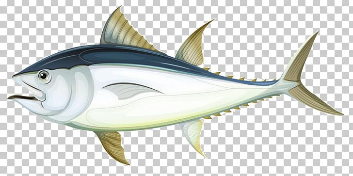 Tuna Fish Anatomy Illustration PNG, Clipart, Animals, Atlantic Bluefin Tuna, Bony Fish, Creative Background, Creative Logo Design Free PNG Download