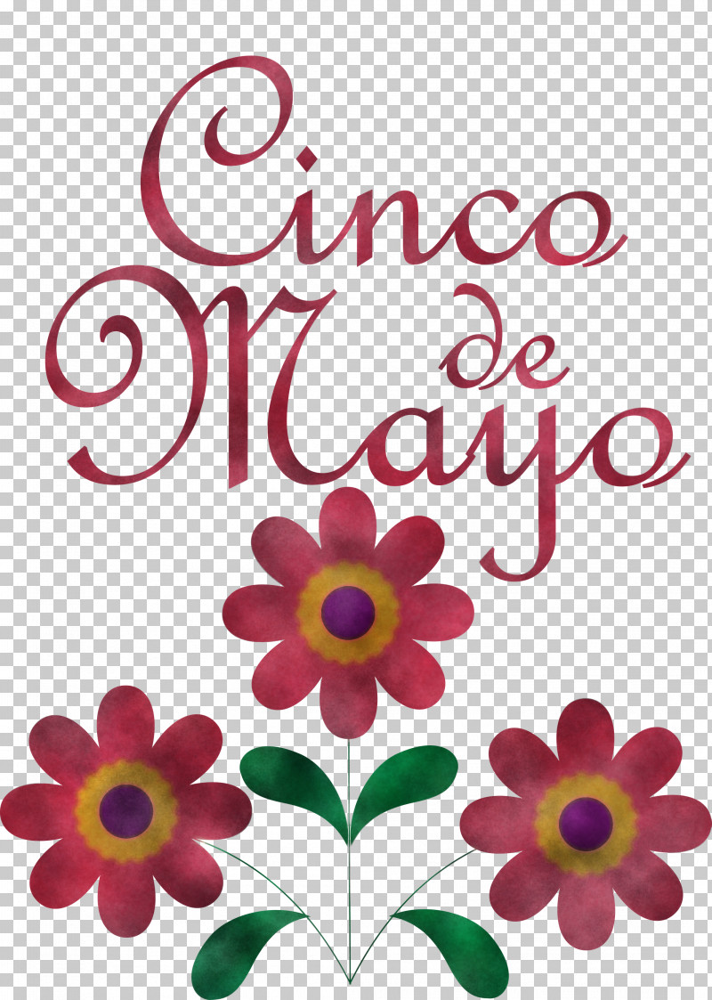 Cinco De Mayo Fifth Of May PNG, Clipart, Biology, Cinco De Mayo, Cut Flowers, Fifth Of May, Floral Design Free PNG Download