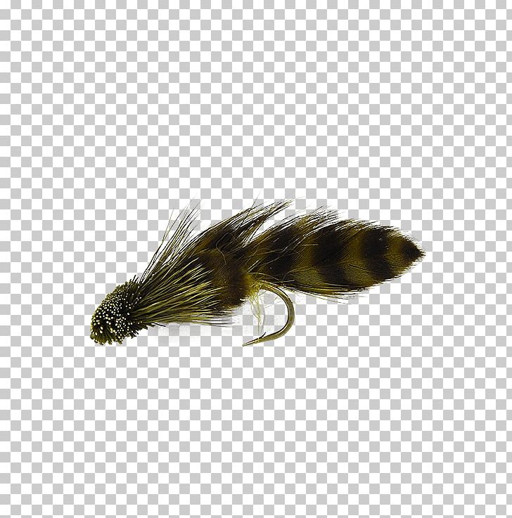 Artificial Fly Fly Fishing Sculpins PNG, Clipart, Artificial Fly, Bluefish, Card, Fishing, Fishing Bait Free PNG Download