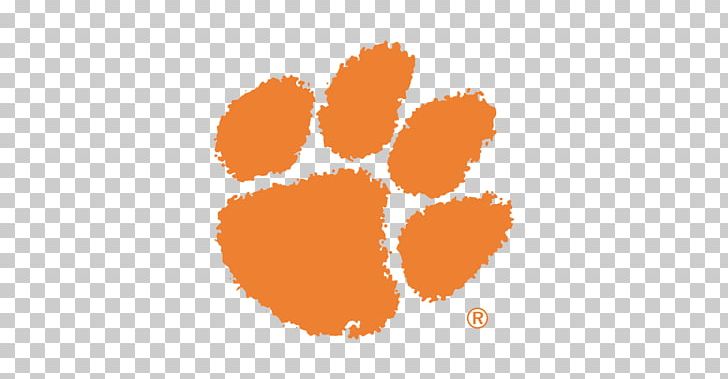 Clemson Tigers Football Clemson University Clemson Tigers Women's Basketball Clemson Tigers Men's Basketball Georgia Tech Yellow Jackets Football PNG, Clipart, Clemson Tigers Football, Clemson University, Others Free PNG Download