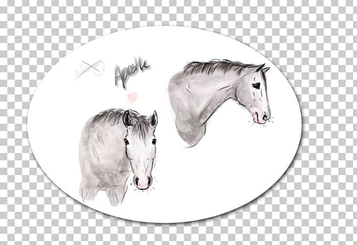 Pony Mustang Halter Mane Pack Animal PNG, Clipart, Apostle, Drawing, Fictional Character, Halter, Horse Free PNG Download