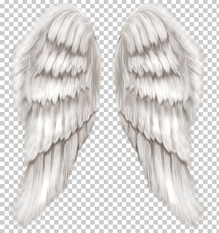 Cherub Wing Angel PNG, Clipart, Angel, Angel Wings, Black And White, Cherub, Clipart Free PNG Download
