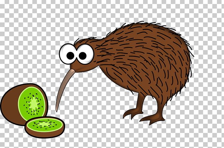 The New Zealand Kiwi Bird Drawing PNG, Clipart, Animals, Beak, Bird, Carnivoran, Cartoon Free PNG Download