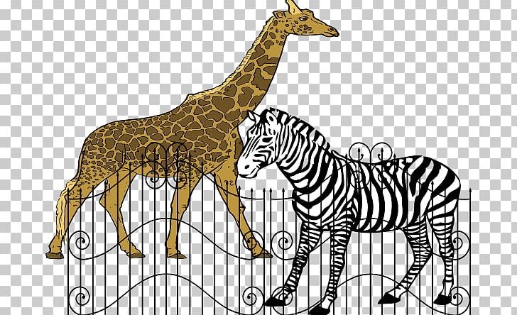 Zoo Free Content PNG, Clipart, Animal, Black And White, Blog, Cage, Computer Icons Free PNG Download